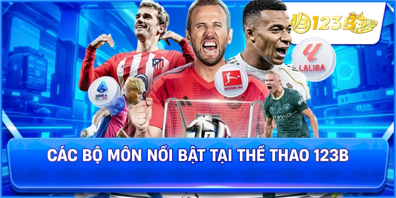 Các Bộ Môn Nổi Bật Tại Thể Thao 123B