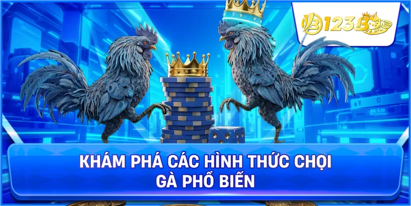 Khám Phá Các Hình Thức Chọi Gà Phổ Biến